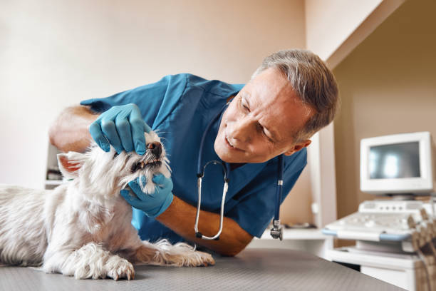 Best Walk-In Emergency Dentist in Mesquite, TX